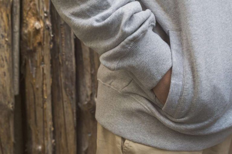 Sudadera rayas trasera/Long Days/Longboard