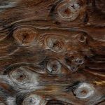 Dibujos naturales de la madera/LongDays/Longboard